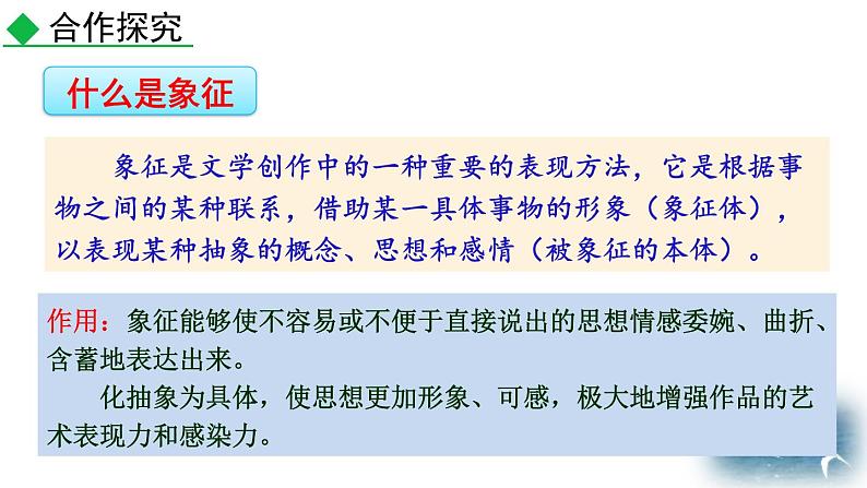 人教部编版（2024）九年级语文下册4海燕第二课时课件第4页