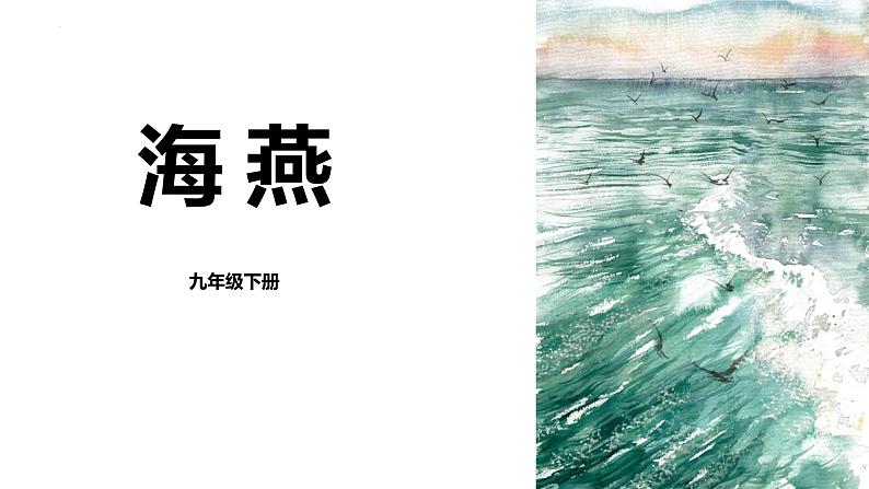 人教部编版（2024）九年级语文下册4海燕ppt精品课件第1页