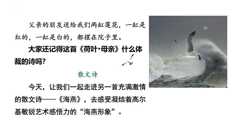 人教部编版（2024）九年级语文下册4海燕ppt精品课件第2页