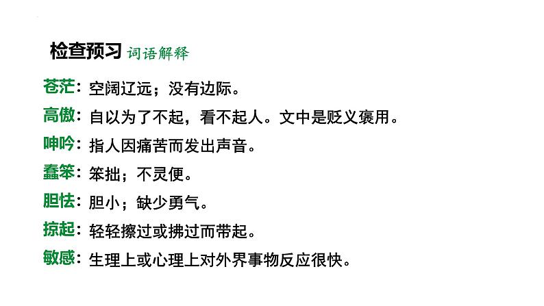 人教部编版（2024）九年级语文下册4海燕ppt精品课件第4页