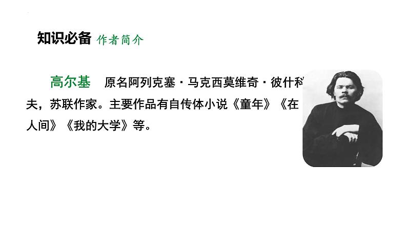 人教部编版（2024）九年级语文下册4海燕ppt精品课件第7页
