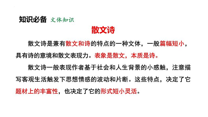 人教部编版（2024）九年级语文下册4海燕ppt精品课件第8页