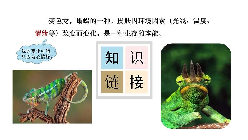 人教部编版（2024）九年级语文下册6变色龙精品课件第7页