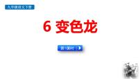 初中语文人教部编版（2024）九年级下册变色龙授课ppt课件