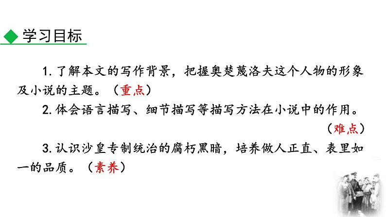 人教部编版（2024）九年级语文下册6变色龙第一课时课件第4页