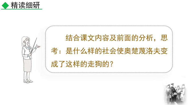 人教部编版（2024）九年级语文下册6变色龙第二课时课件第3页