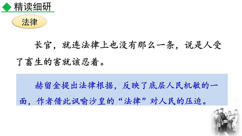 人教部编版（2024）九年级语文下册6变色龙第二课时课件第7页