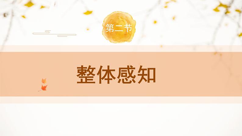 人教部编版（2024）九年级语文下册8蒲柳人家（节选）课件ppt第5页