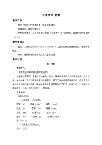 语文人教部编版（2024）19 大雁归来/利奥波德教学设计及反思