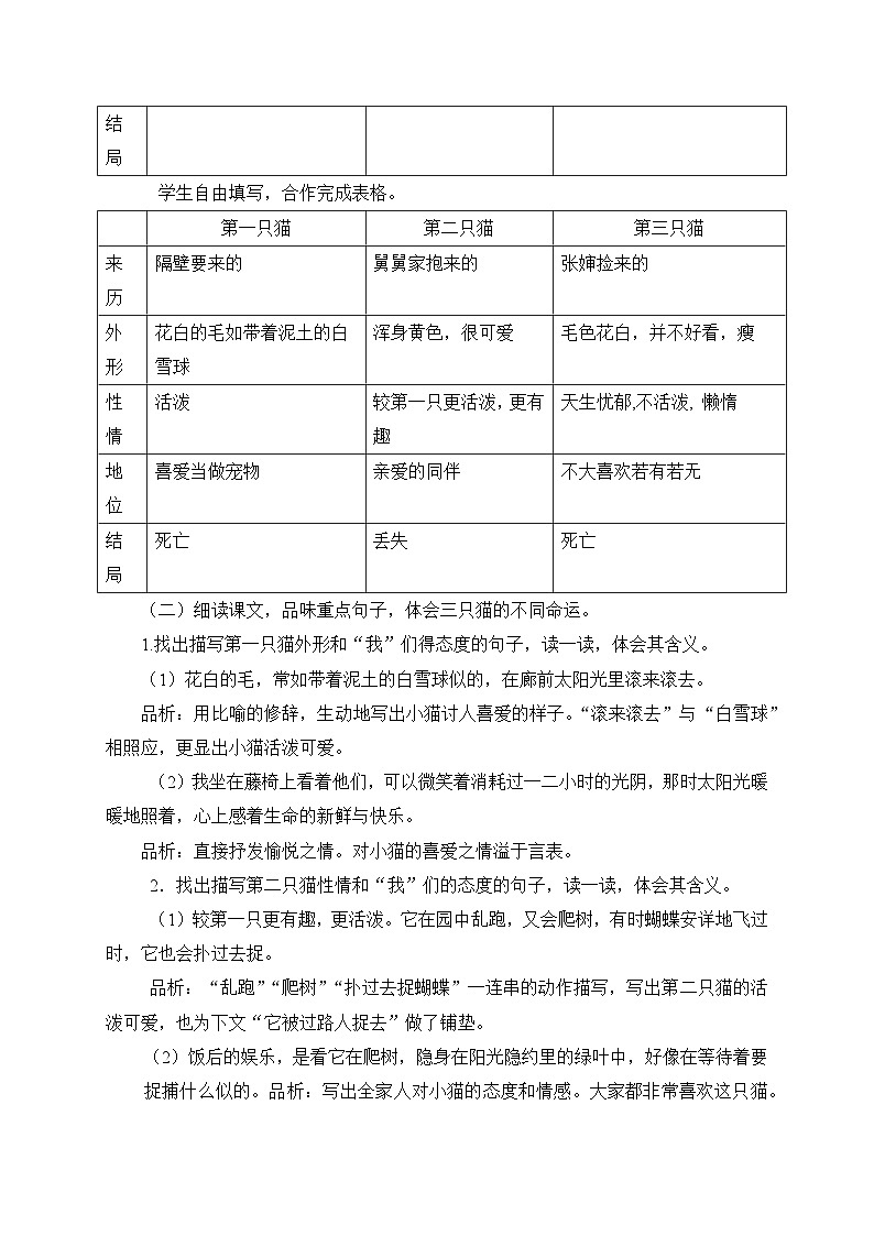 2024-2025学年统编版语文七年级上册 17 猫 教案第3页