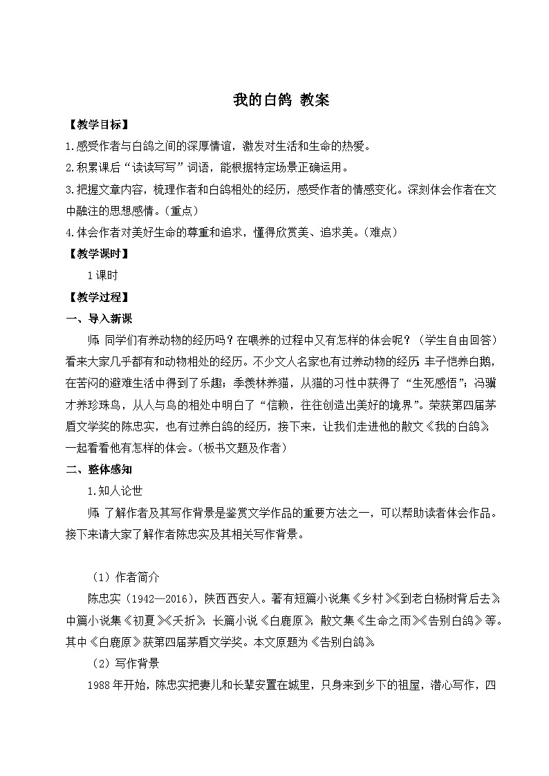 2024-2025学年统编版语文七年级上册 18 我的白鸽 教案第1页