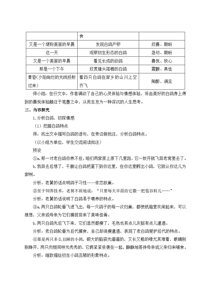 2024-2025学年统编版语文七年级上册 18 我的白鸽 教案第3页