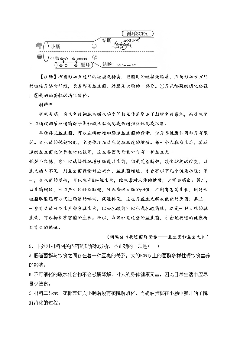 江西省丰城中学2024-2025学年八年级上学期11月期中考试语文试卷(含答案)第3页