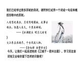 人教部编版（2024）九年级语文下册12词四首-江城子·密州出猎课件