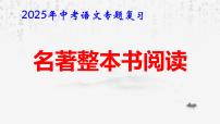 2025年中考语文专题复习：名著整本书阅读 课件