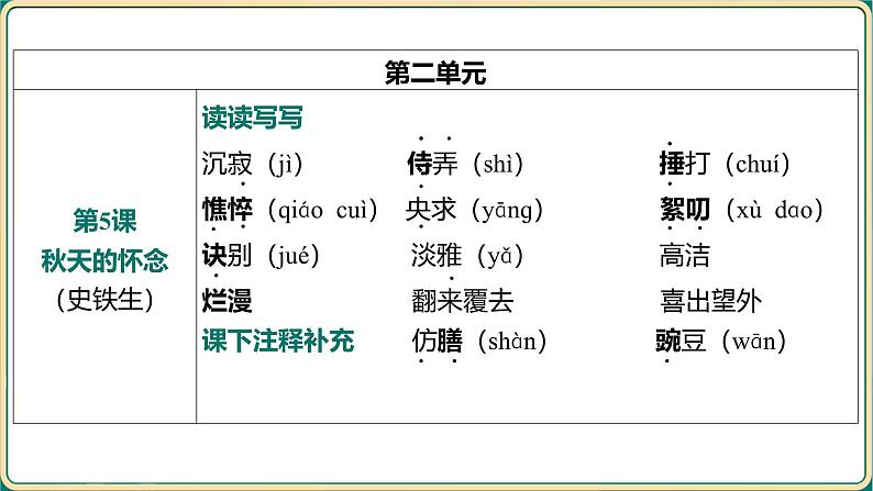 2025年中考语文专项复习：《字音、字形》课件第7页