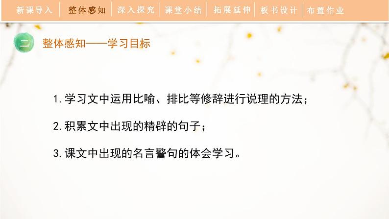人教部编版（2024）九年级语文下册13.1谈读书课件ppt第3页