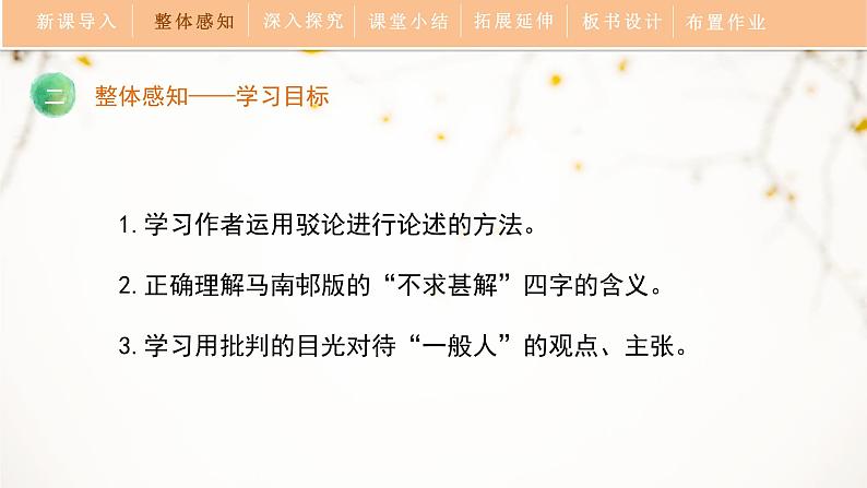 人教部编版（2024）九年级语文下册13.1不求甚解课件ppt第3页