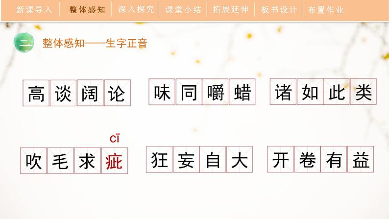 人教部编版（2024）九年级语文下册13.1不求甚解课件ppt第7页