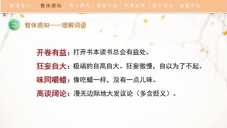 人教部编版（2024）九年级语文下册13.1不求甚解课件ppt第8页