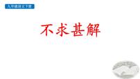 初中语文人教部编版（2024）九年级下册不求甚解说课ppt课件