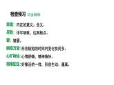 人教部编版（2024）九年级语文下册15无言之美精品课件