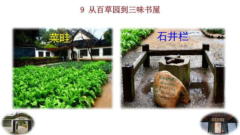 2024语文部编版七年级上册第三单元9  从百草园到三味书屋教学课件ppt第1页