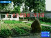 2024語文部編版七年級上冊第三單元 9 從百草園到三味書屋 課件+教學(xué)設(shè)計(jì)+同步練習(xí)+說課稿