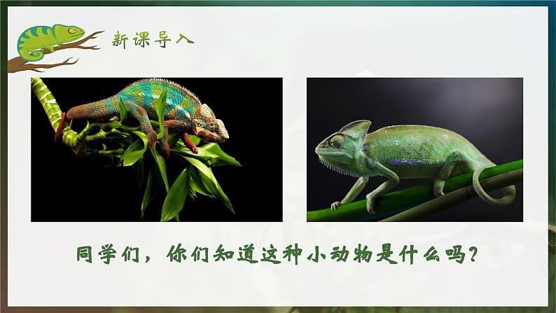 人教部编版初中语文九年级上册 《6.变色龙》课件第2页