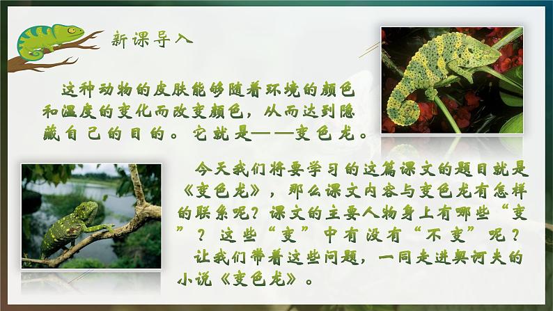 人教部编版初中语文九年级上册 《6.变色龙》课件第3页