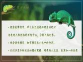 人教部编版初中语文九年级下册 《6.变色龙》课件+教案