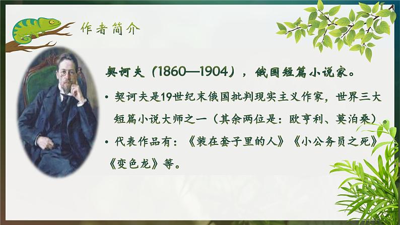 人教部编版初中语文九年级上册 《6.变色龙》课件第5页