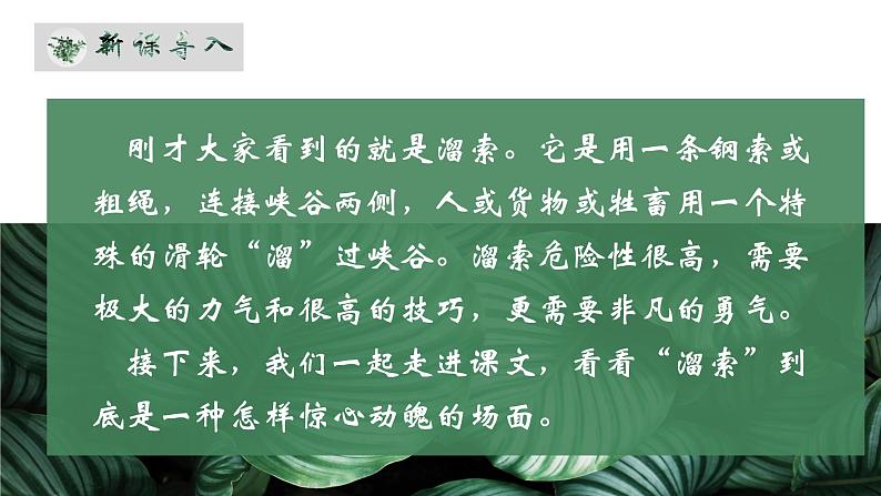 人教部编版初中语文九年级上册 《7.溜索》课件第3页
