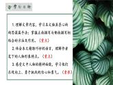 人教部编版初中语文九年级下册 《7.溜索》课件+教案