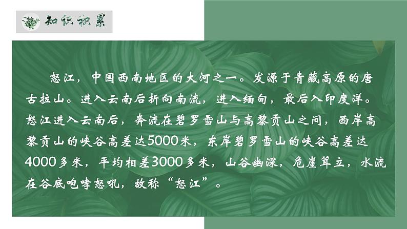 人教部编版初中语文九年级上册 《7.溜索》课件第6页