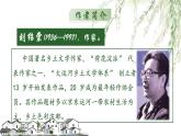人教部编版初中语文九年级下册 《8.蒲柳人家》课件+教案