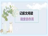 第12讲 记叙文线索作用（课件）-2025年中考语文复习记叙文阅读重难点专攻