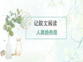第11讲 人称的作用（课件）-2025年中考语文复习记叙文阅读重难点专攻