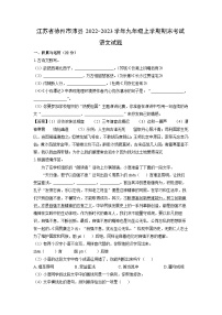 2022~2023学年江苏省徐州市沛县九年级(上)期末语文试卷(解析版)