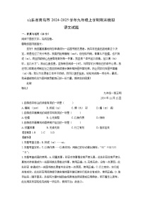 2024~2025学年山东省青岛市九年级(上)期末模拟语文试卷(解析版)