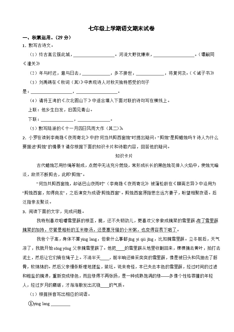 广东省云浮市罗定市2024年七年级上学期语文期末试卷附答案第1页