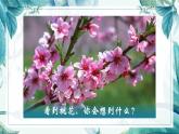 人教部編版初中語(yǔ)文九年級(jí)下冊(cè) 《16.驅(qū)遣我們的想像》課件+教案