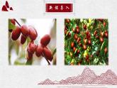 人教部編版初中語(yǔ)文九年級(jí)下冊(cè) 《19.棗兒》課件+教案