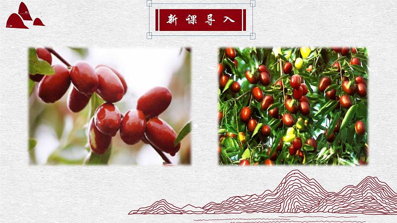 人教部编版初中语文九年级上册 《19.枣儿》课件第2页