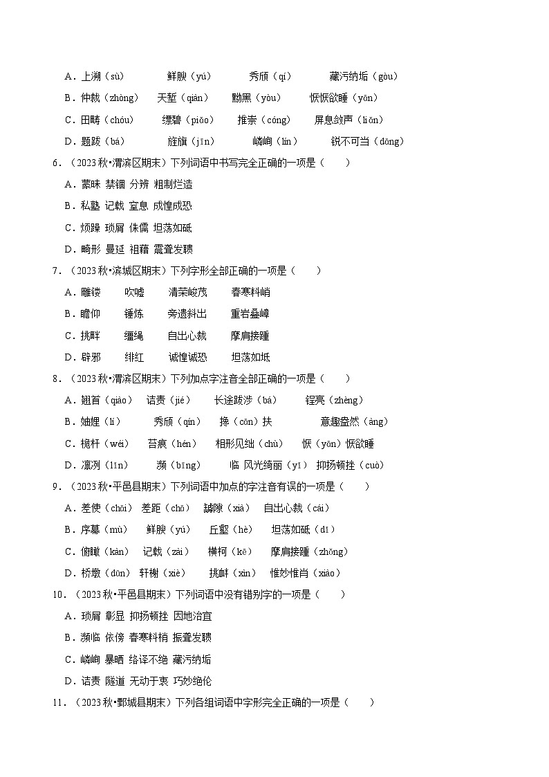 2024-2025学年上学期初中语文人教部编版八年级期末必刷常考题之字音字形练习第2页