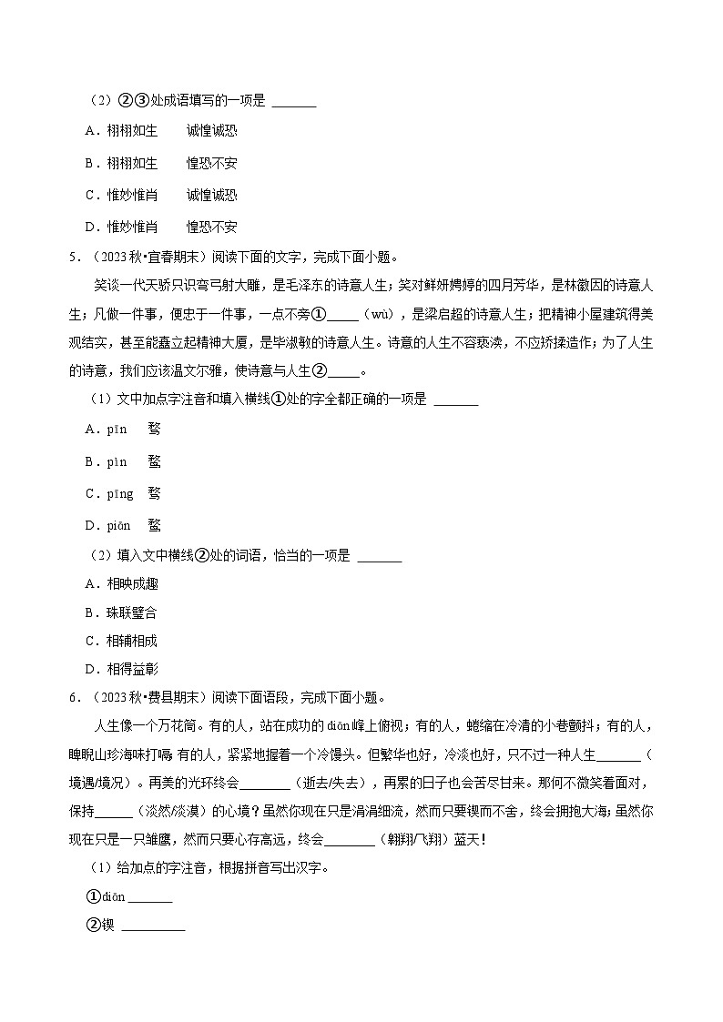 2024-2025学年上学期初中语文人教部编版九年级期末必刷常考题之基础综合练习第3页
