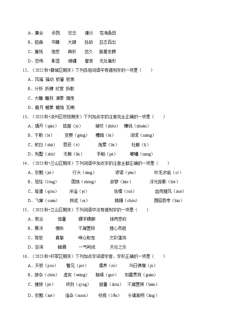 2024-2025学年上学期初中语文人教部编版九年级期末必刷常考题之字音字形练习第3页