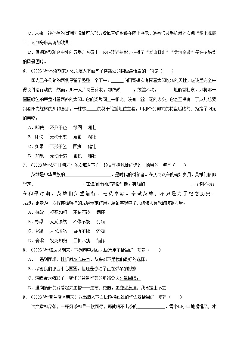 2024-2025学年上学期初中语文人教部编版九年级期末必刷常考题之词语运用练习第2页