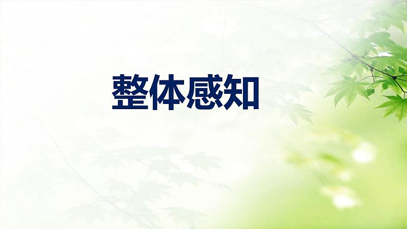 部编版九下第三单元名著阅读《儒林外史》同步课件第7页