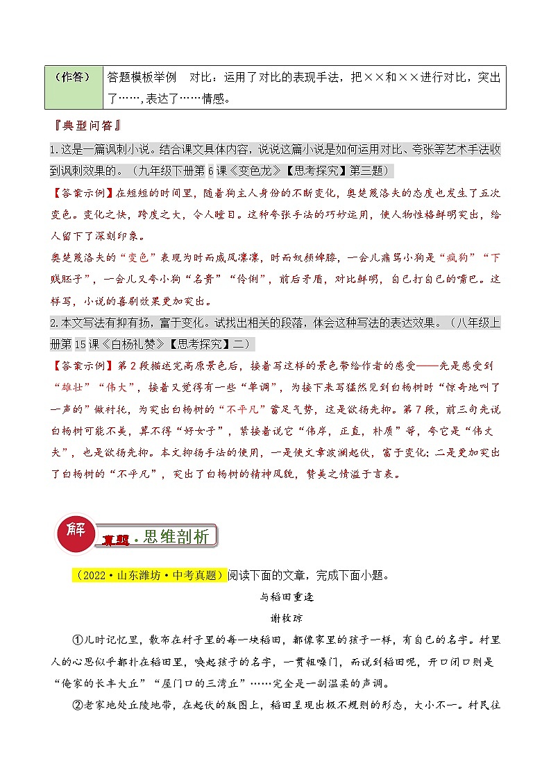 中考语文：题型09  表现手法类题型（答题模板）（解析版）Word（34页）第2页